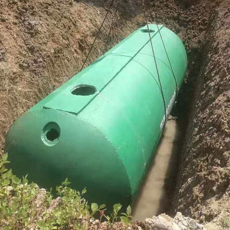 猪养殖场化粪池